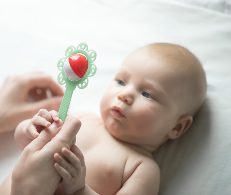 Brinquedos para Bebês de 6 Meses que Estimulam o Desenvolvimento 13 2374