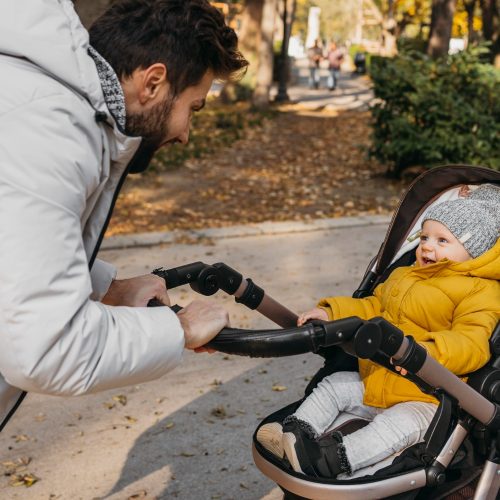 Carrinho de Bebê: Os Melhores Modelos e Dicas Essenciais para 2025