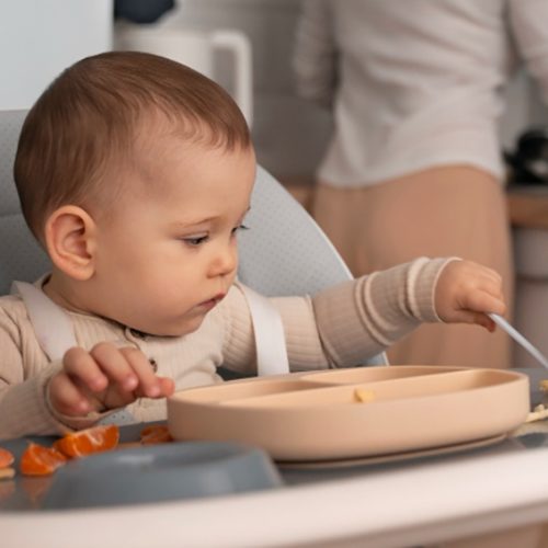 Descubra os Produtos que Ajudam na Introdução Alimentar do Seu Bebê
