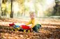 Os Melhores Brinquedos para Meninos de 2 Anos