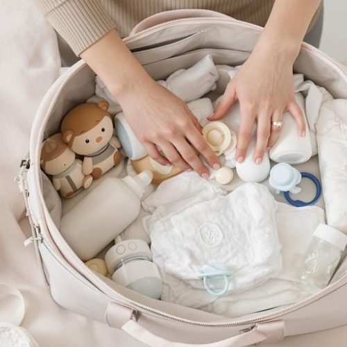 Os Melhores Organizadores de Bolsa Maternidade para Facilitar sua Rotina